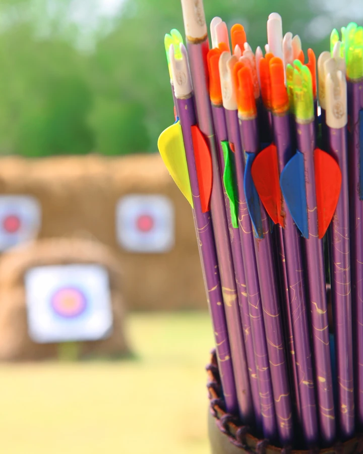 Archery arrows and targets representing a Driver's ambition to set goals and overcome obstacles.